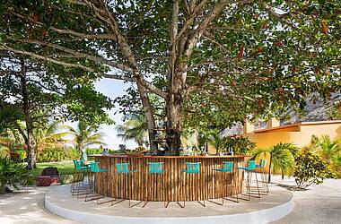 Dannys Tree Bar im Matachica Resort auf Ambergris Caye. Tresen und Barhocker unter einem Baum.