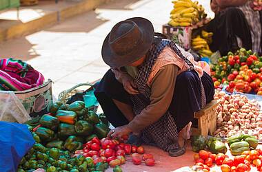 Gemüseverkäuferin auf dem Markt von Tarabuco in Bolivien. Sie sitzt auf einem niedrigen Hocker und ihr Kopf wird von einem Hut verdeckt. Das Gemüse ist auf einer Decke um sie herum ausgebreitet.